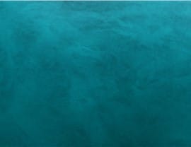 The image shows a textured turquoise background, resembling a painted wall or surface. There's no discernible landmark, person, or building.
